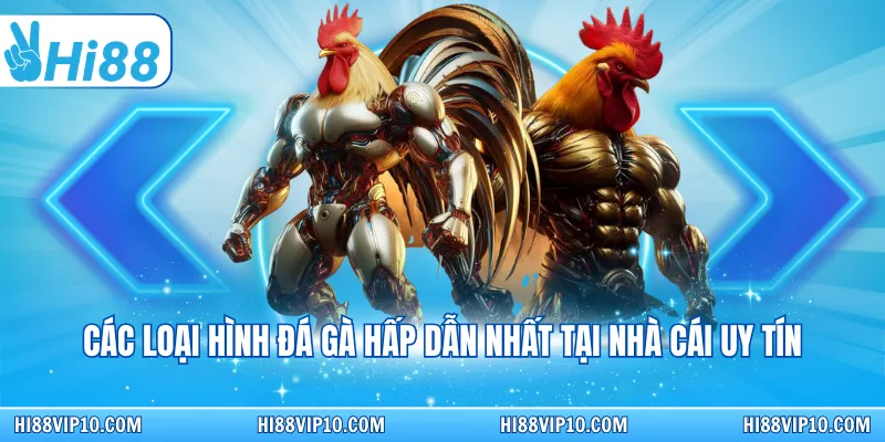 Các loại hình đá gà hấp dẫn nhất tại nhà cái uy tín