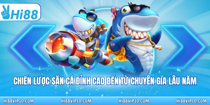 Chiến lược săn cá đỉnh cao đến từ chuyên gia lâu năm